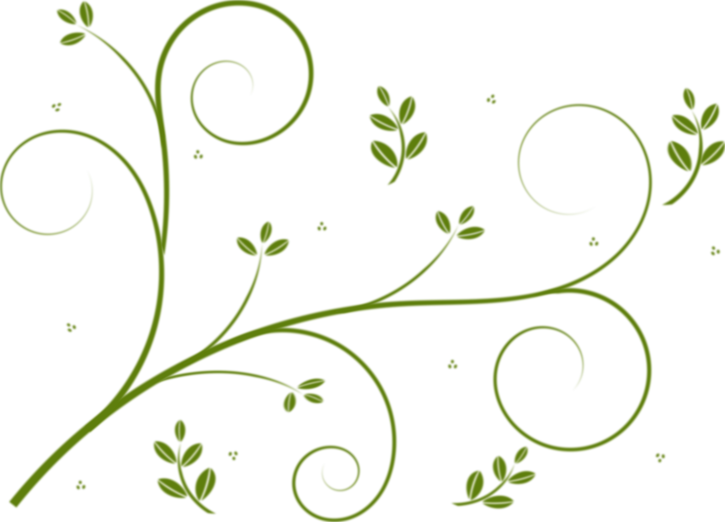 Vines Clipart Svg - Vines Clipart Svg (2400x1729)