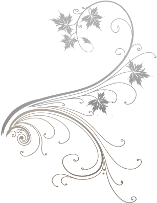 Vine - White Flower Vine Png (325x450)