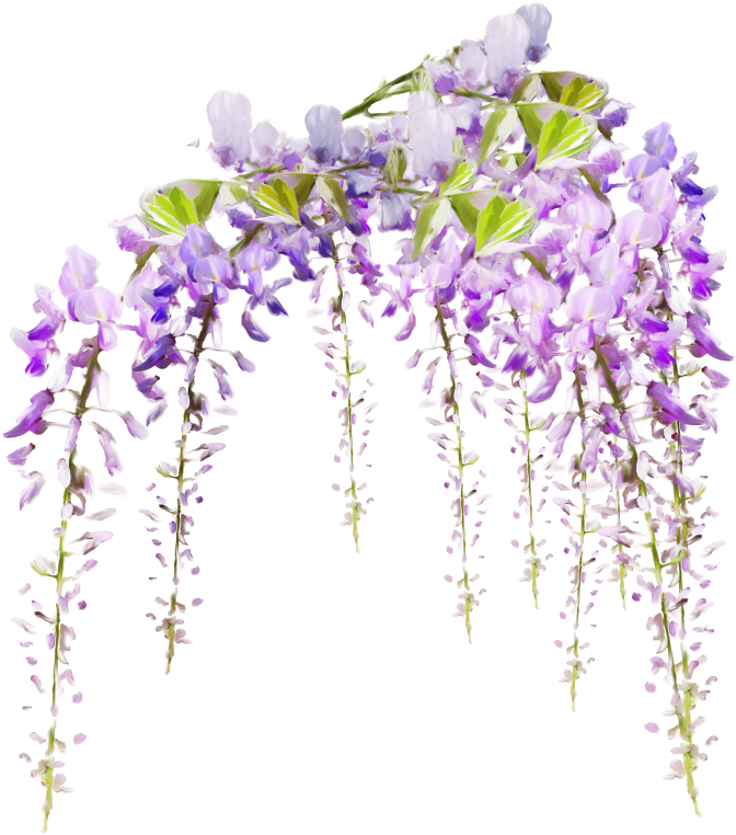 Dos Santos Marie Flower Vine Garden - Violin Spring Melody Oval Ornament (793x800)