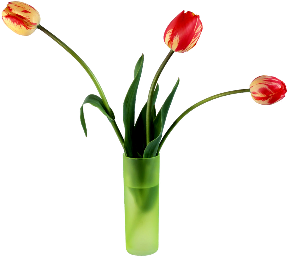 Spring Tulips - My Wife On Valentine's Day Card (1280x960)