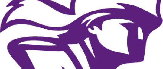 Old Lyf Logo - Lehi High School (539x229)