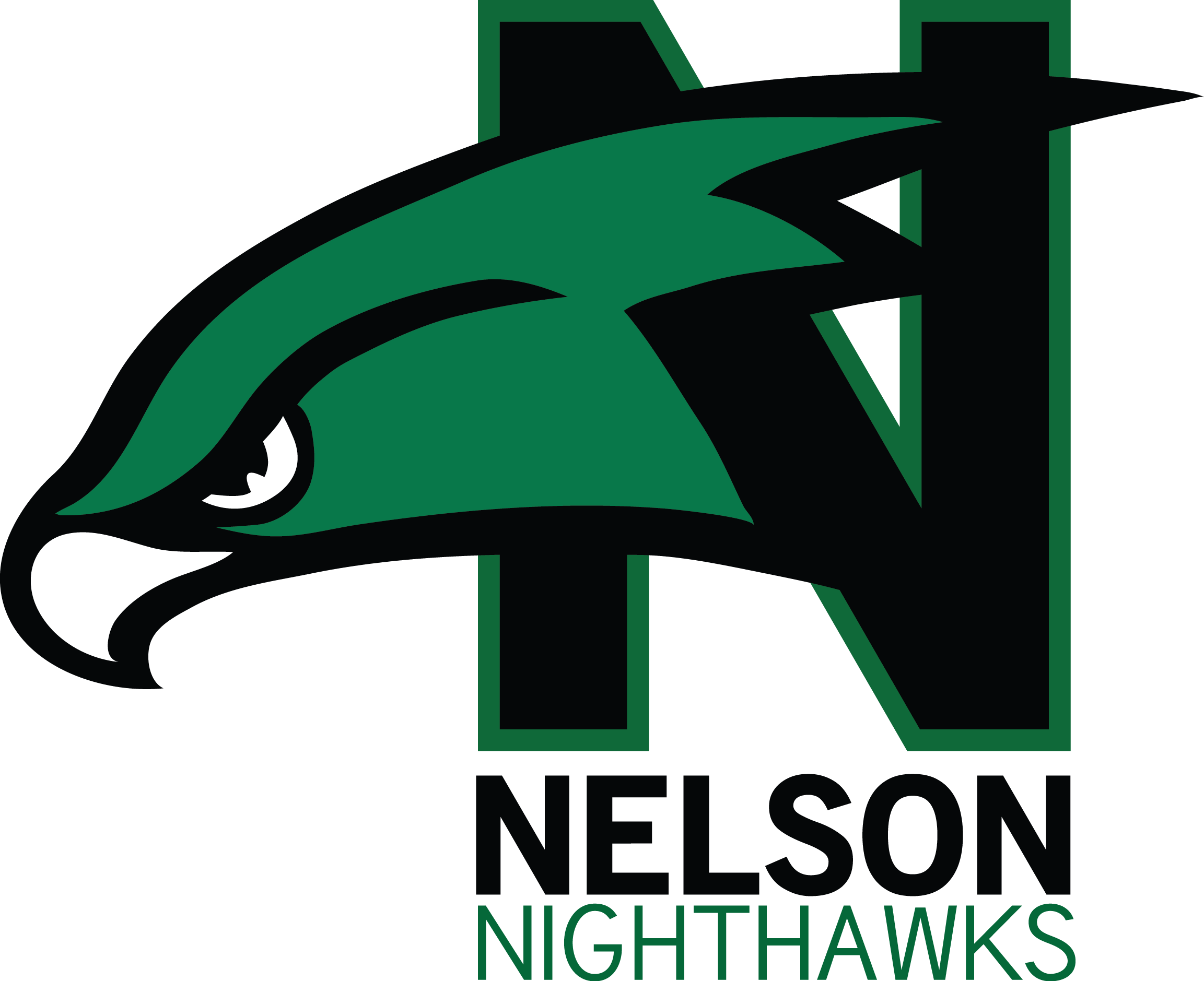 Nelson Middle School Frisco Texas (2305x1879)