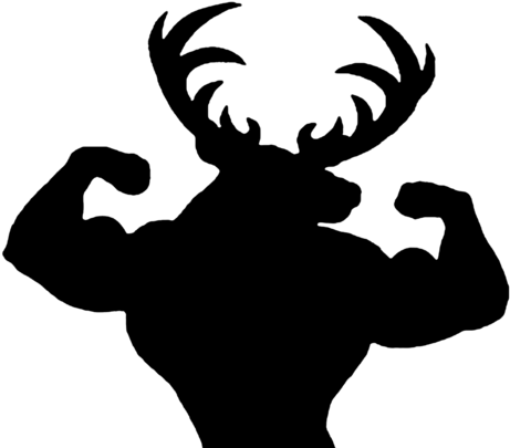 Tahoe Show - Wired2fish (500x412)