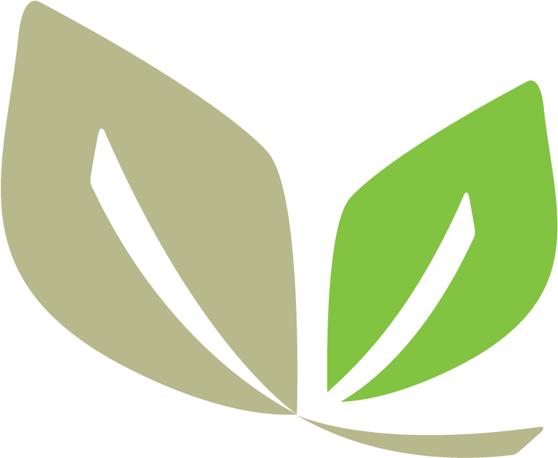 Elixrx Leaf Logo - Pharmacy Leaf (800x663)