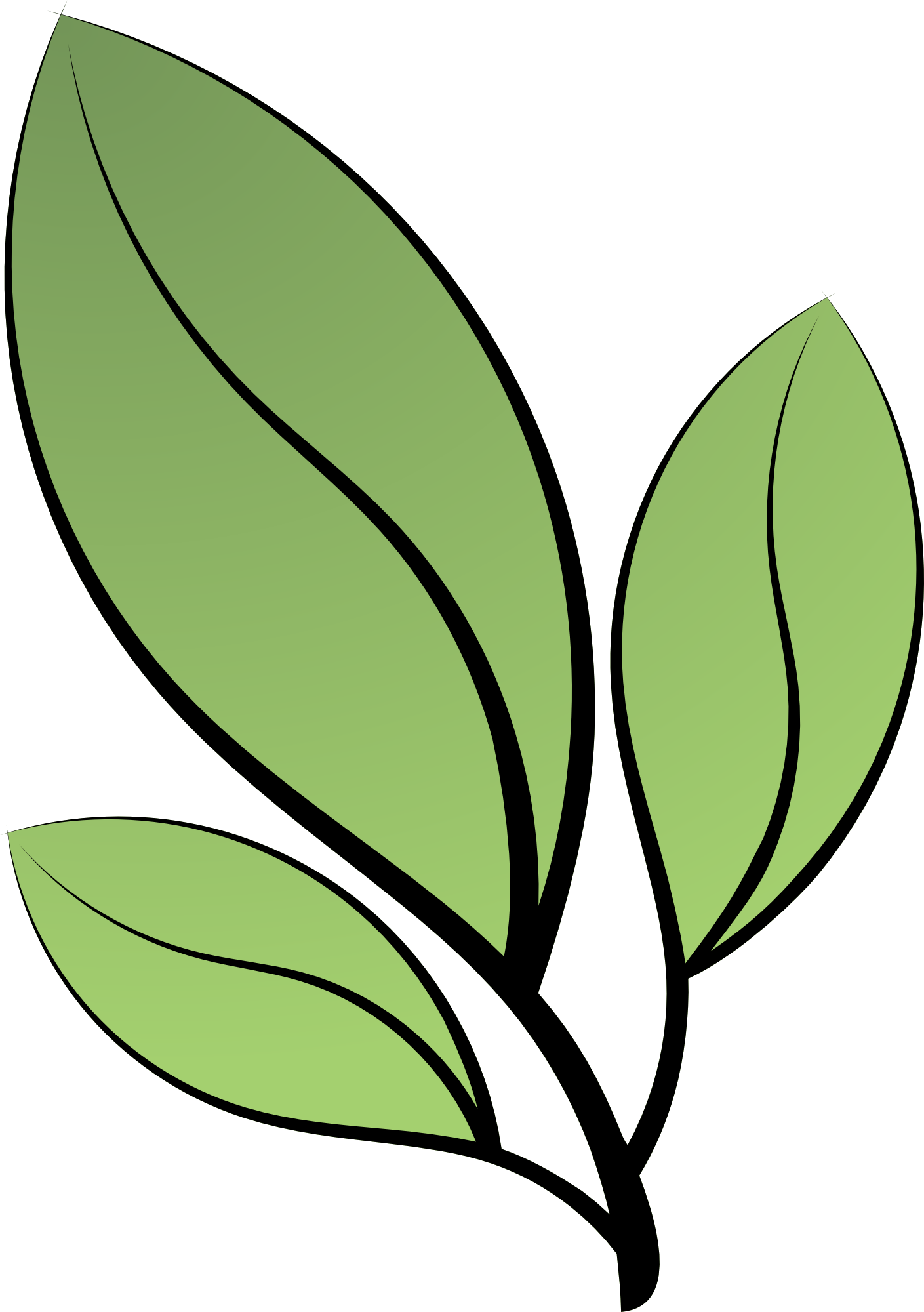 Path To Perfect Health Logo - Path To Perfect Health Logo (1409x2000)