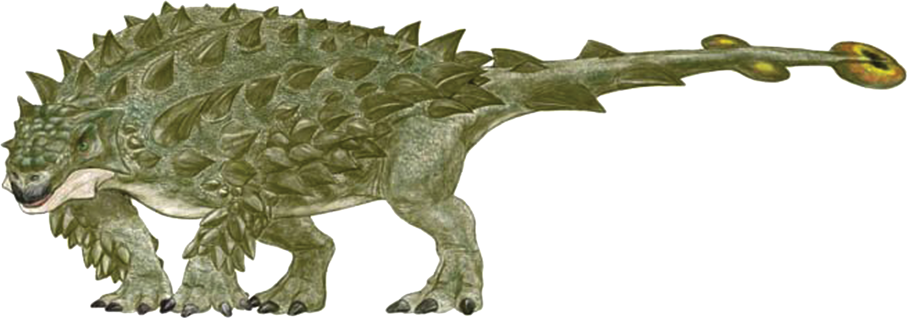 Dinosaur Pictures Printables Dinosaurs Cliparts - Daspletosaurus (2932x1148)