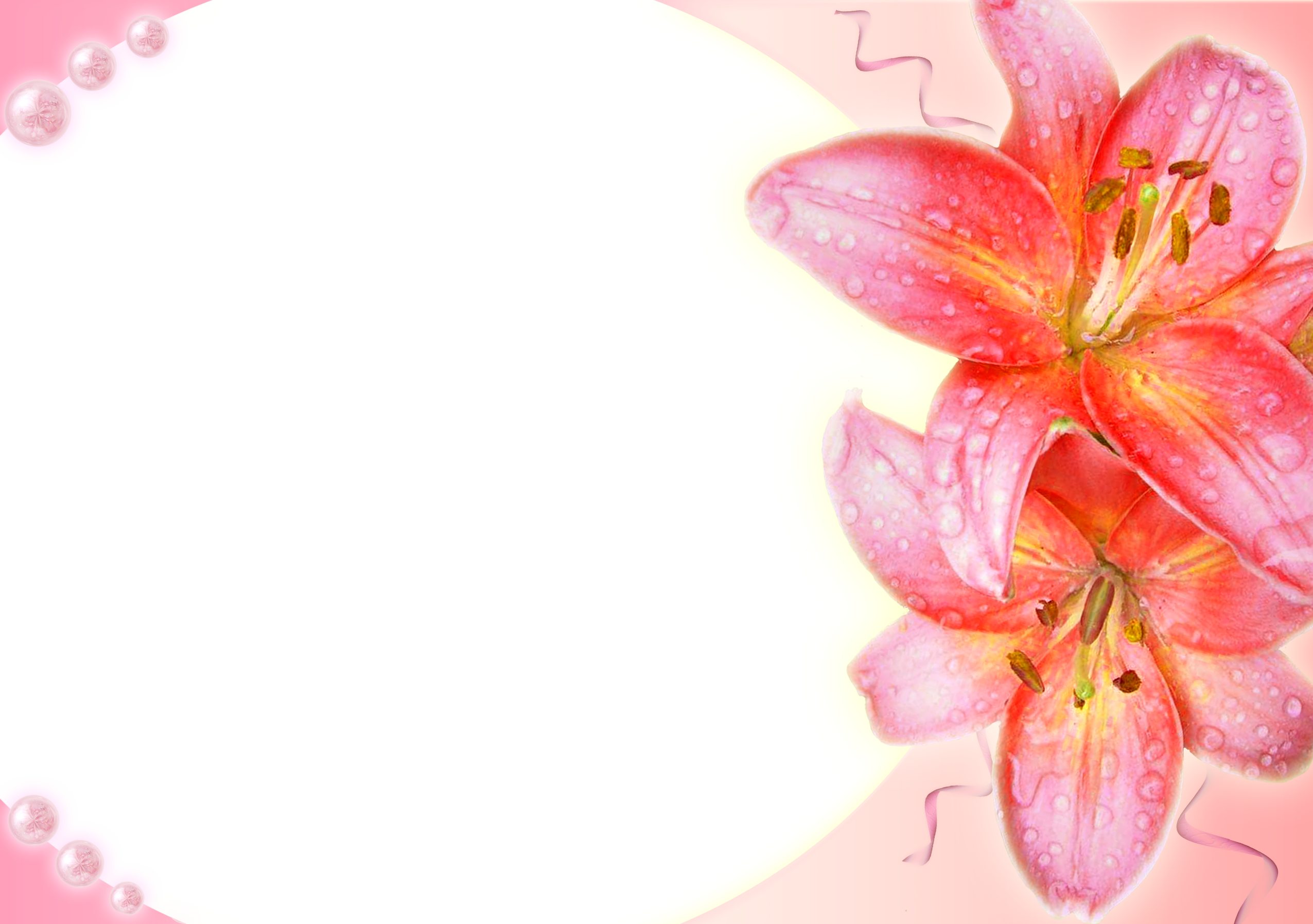 Transparent Wedding Frames Photoshop - Cadres Transparent Avec Fleurs (2551x1795)