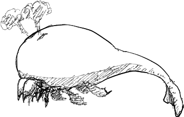 Comment Drawing - Sketch (450x340)