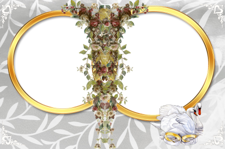 Adobe Photoshop Frame Free - Adobe Photoshop (448x298)