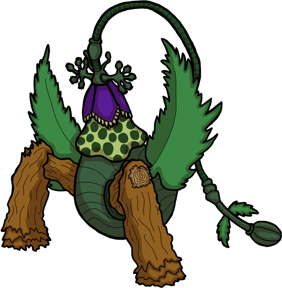 14 Papaver Magnus - Illustration (1000x950)