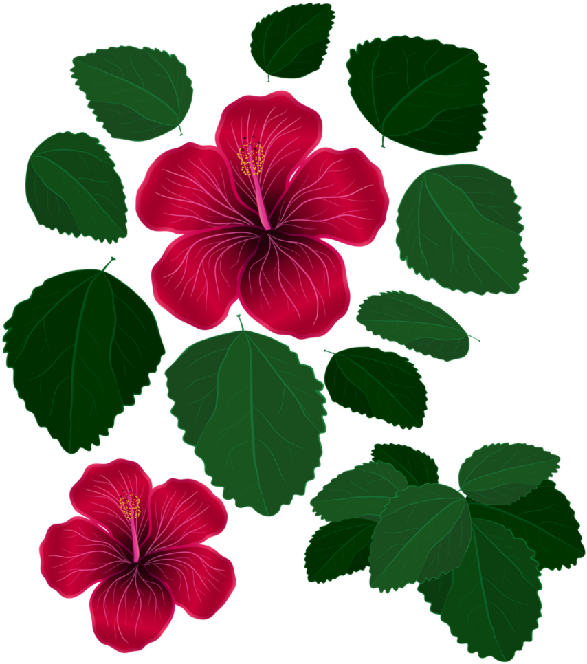 Unique Photos Of Flower With Leaves Pictures Flower - Flower With Leaves Png (870x990)