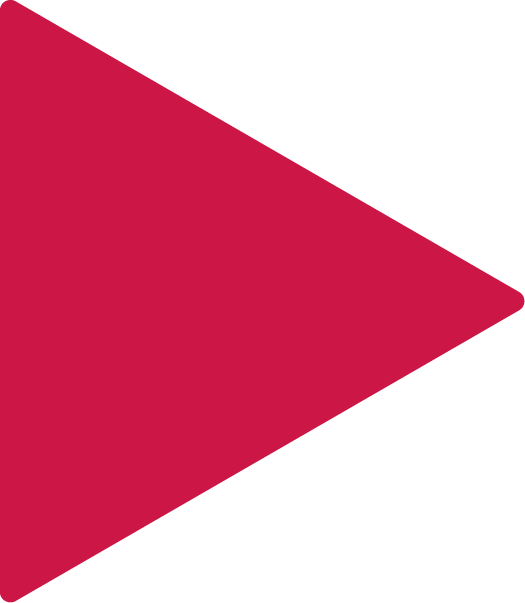 Red Triangle Flag (525x603)