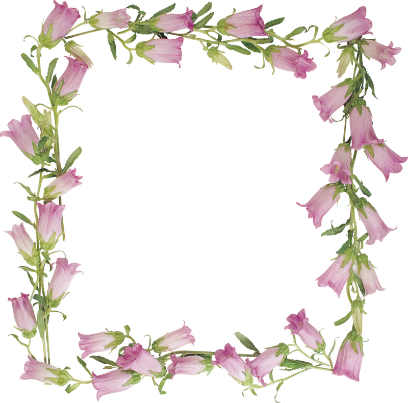 Lily Of The Valley Decorative Borders - Рамка Колокольчики Пнг (800x790)