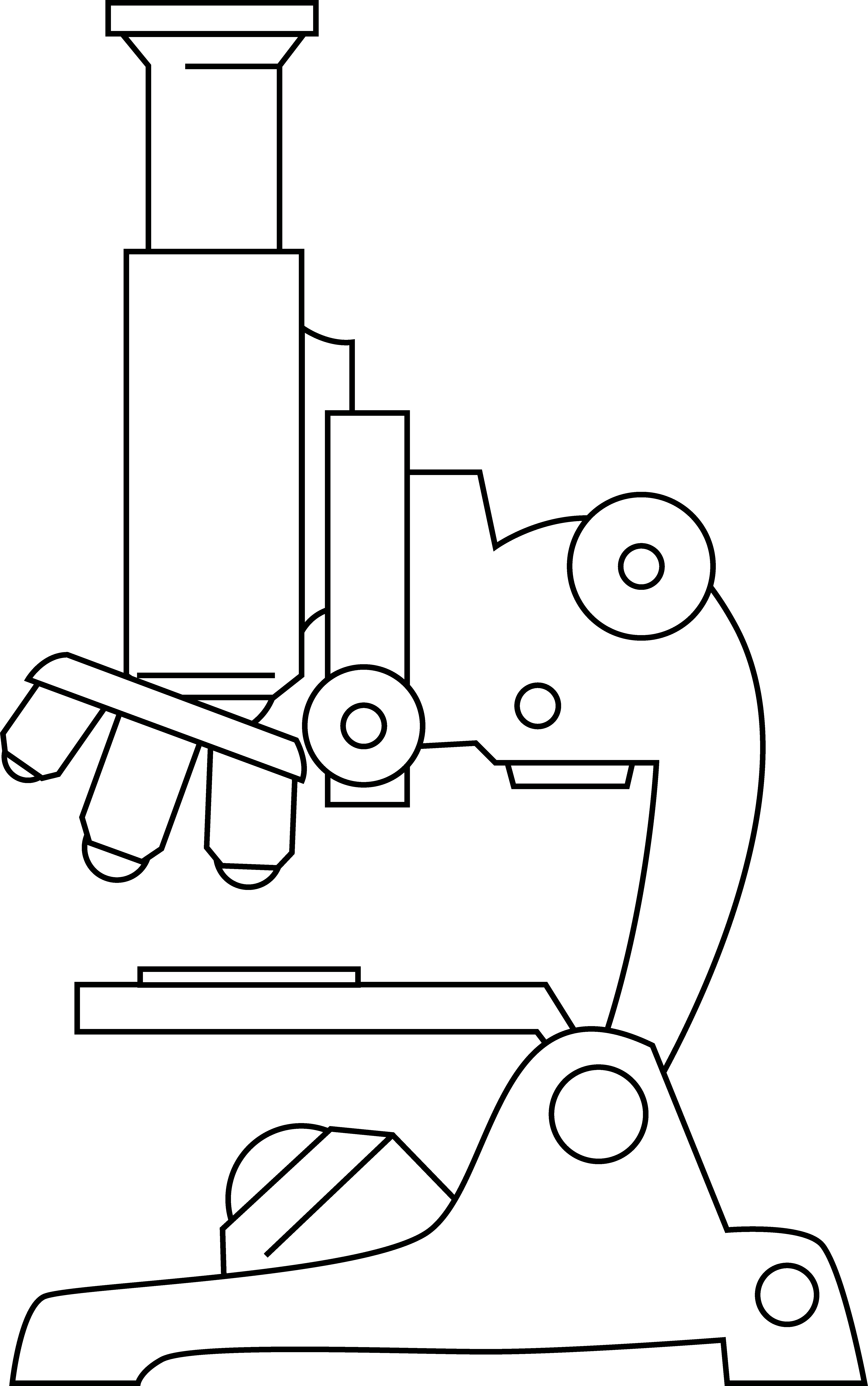 Microscope Clipart Cliparts And Others Art Inspiration - Microscopes Clipart (5156x8234)