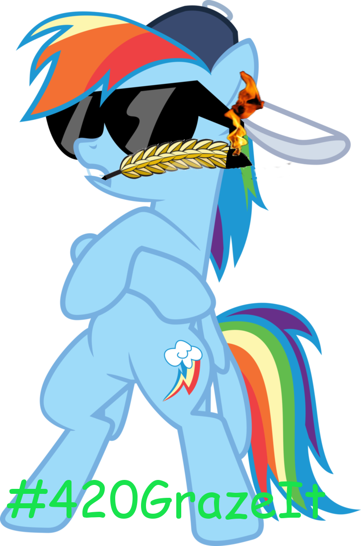 Uploaded - Rainbow Dash Swag (727x1099)