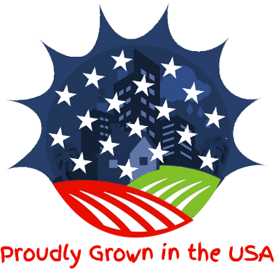 Flag Of The United States (408x406)