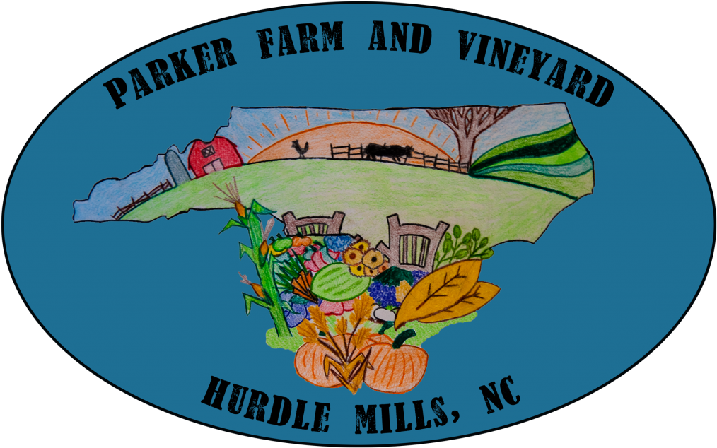 Parker Farm And Vineyard - Hurdle Mills (1024x683)