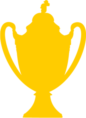 Coupe De France - Coupe De France (300x408)