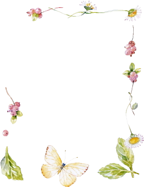 Red Flower Frame Png Index Of /users/tbalze/flower/png - Red Flower Frame Png Index Of /users/tbalze/flower/png (332x400)