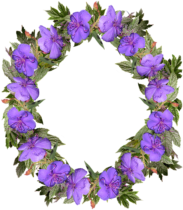 Wreath, Flowers, Frame, Decoration, Nature - Flower (631x720)