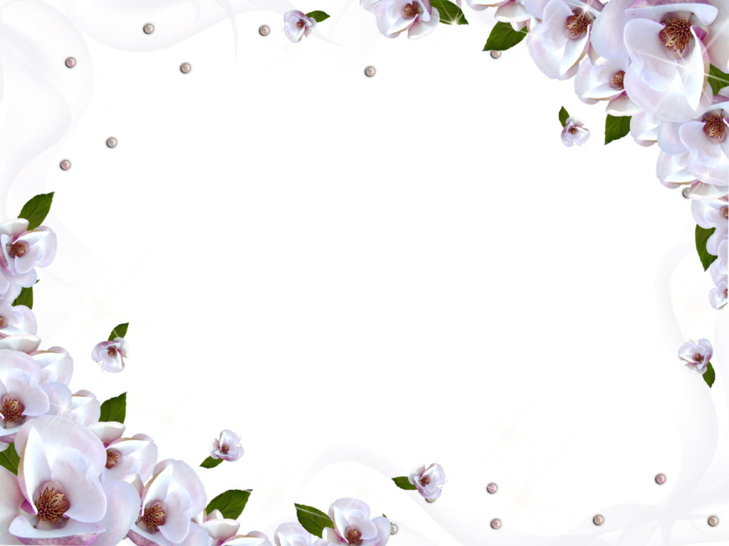 White Flower Frame Png Image - Transparent Background Flower Frame (1024x767)