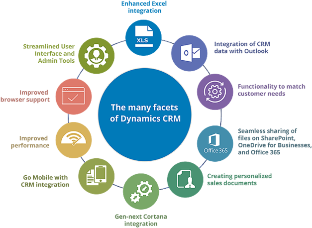 Applications And Process Management Competencies All - Dynamics 365 Office Integration (700x621)