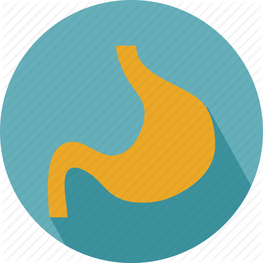 Norovirus - Stomach Icon Png (512x512)