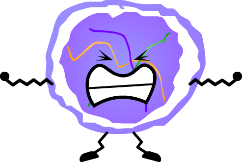 He's Mean To Whoopee Cushion - He's Mean To Whoopee Cushion (493x330)
