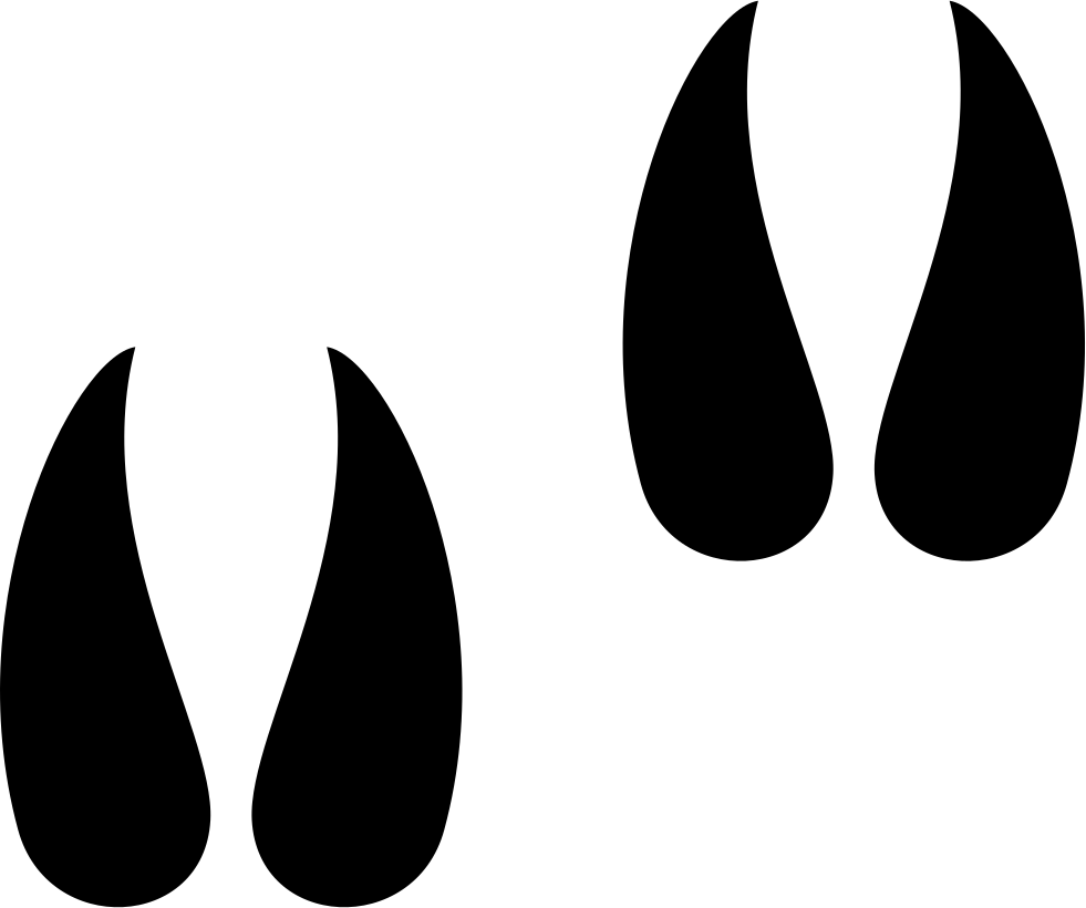Png File - Cow Hoof Prints (981x820)