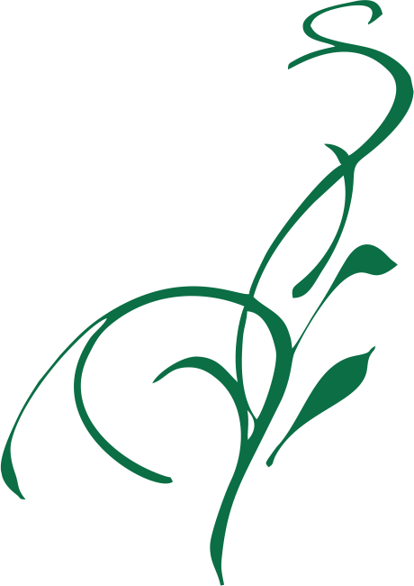 About Red Turtle - Curled Line Art Transparent Png (460x650)