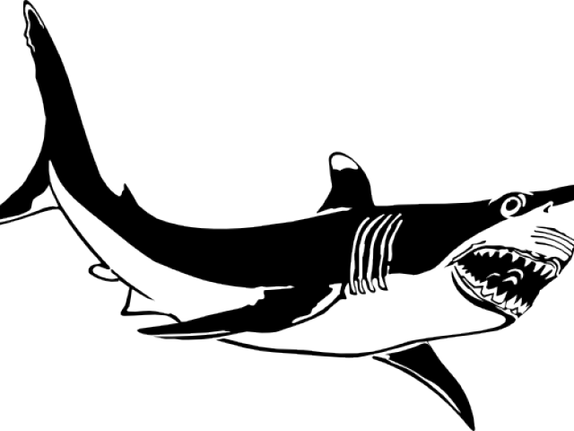 Great White Shark Clipart Vector - Tubarão Preto E Branco (640x480)