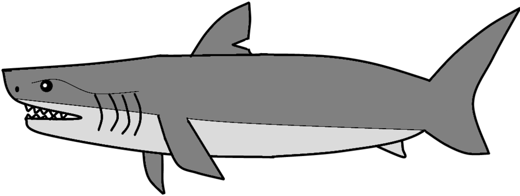 [wsw Contest Entry] - Shark (1024x387)