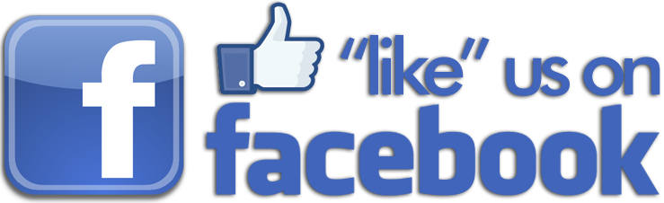 Find Us On Facebook Official Logo - Like Us On Facebook Icon (739x226)
