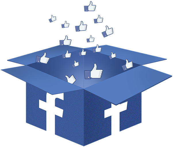 Facebook, Network, Like, Media, Social, Fb Icon - Fake Like On Facebook (640x542)