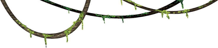 Jungle Png (738x165)
