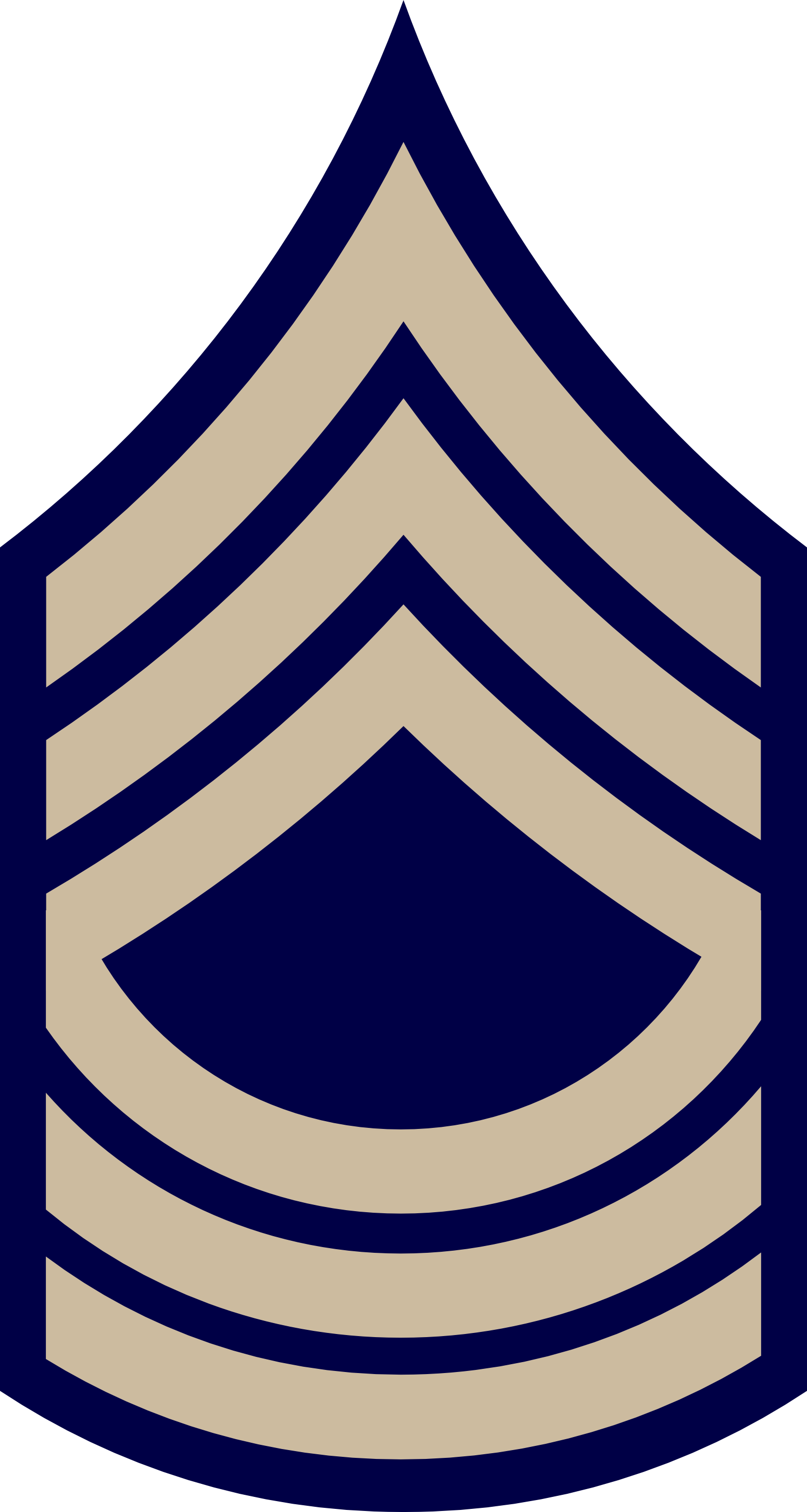 Master Sergeant - Master Sergeant Army Enlisted Ranks (1550x2905)