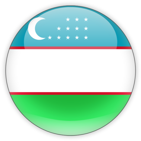 Uzbekistan Flag Icon Png (640x480)