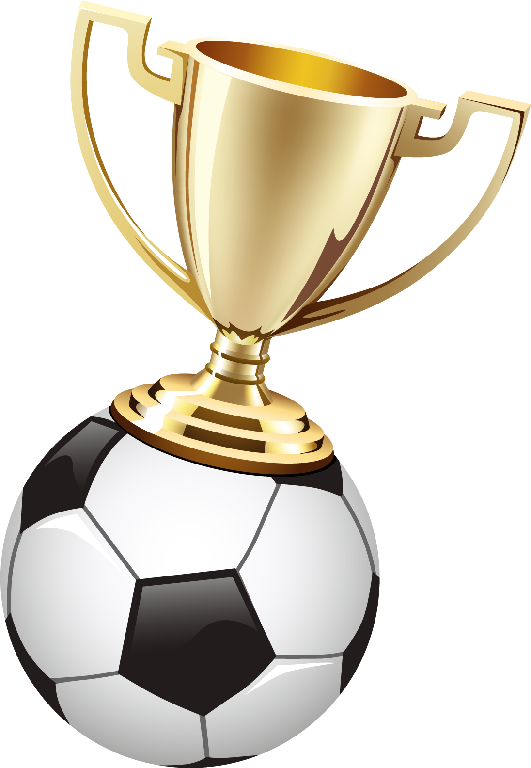 Fifa World Cup Wallsend Fc Football Clip Art - Trophy Football Vector (1128x1606)