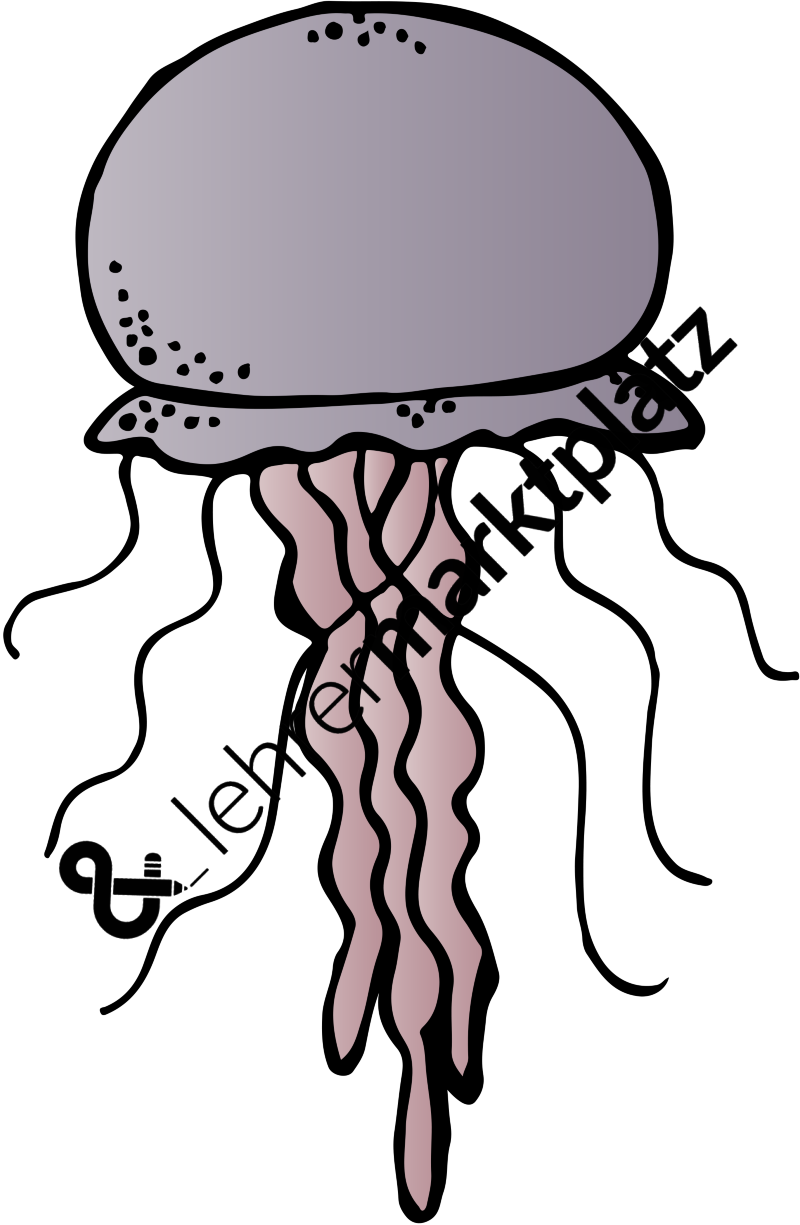 Jellyfish Clipart Melonheadz - Jellyfish Clipart Melonheadz (800x1225)