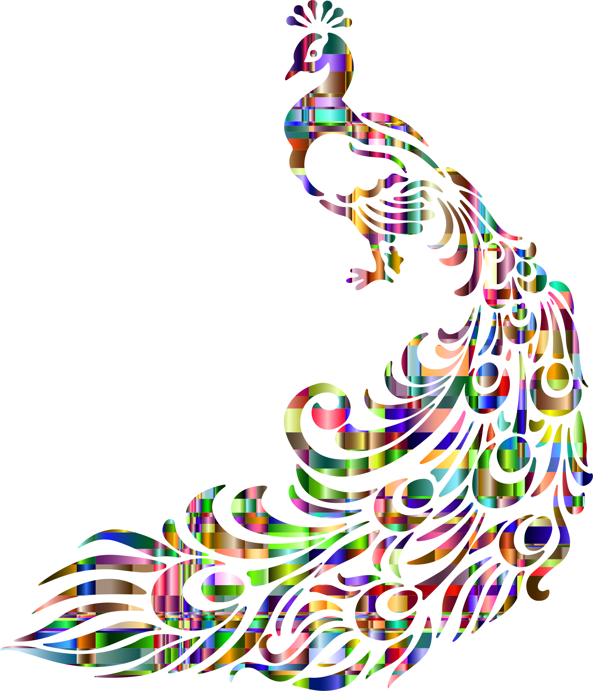 Chromatic Peacock Line Art - Peacock Images Free Download (1972x2298)