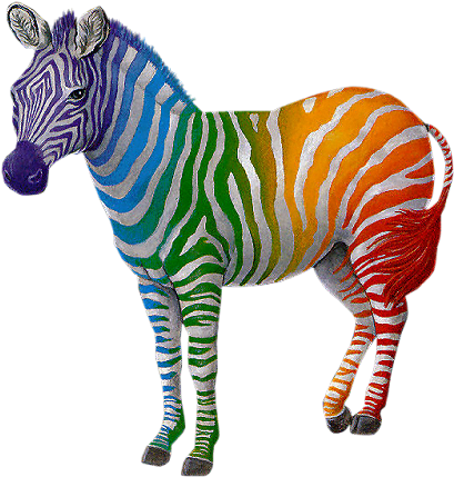 Zebra Clipart Colored Pencil And In Color Zebra Clipart - Rainbow Zebra Clip Art (500x466)