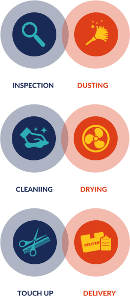 Process - Circle (263x598)
