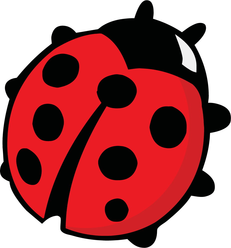 If - Ladybug Drawing (927x995)