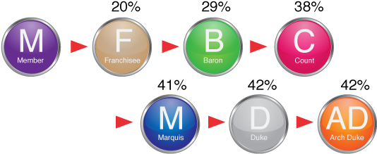 Marketing Plan Overview Of Status / Ranking - Francazure Marketing Plan (600x267)
