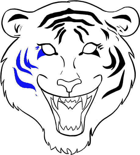 Drawn White Tiger Jungle Drawing - Draw A Tiger Face (678x600)