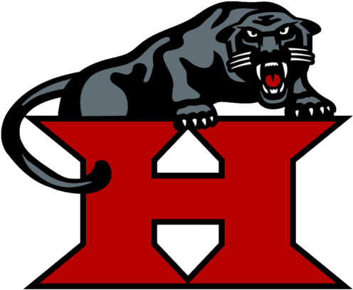 Drury Panthers Logo Png (600x450)