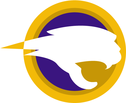 Panther Nation - Panther Nation (483x483)