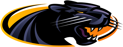 2nd Round - Lavington Panthers Junior Football (500x500)