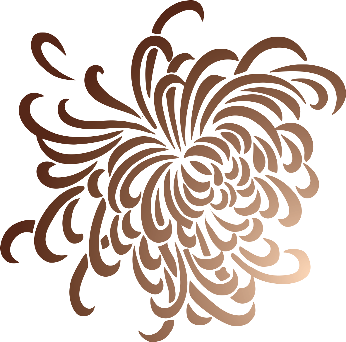 Chrysanthemum Clip Art - Illustration (1181x1181)