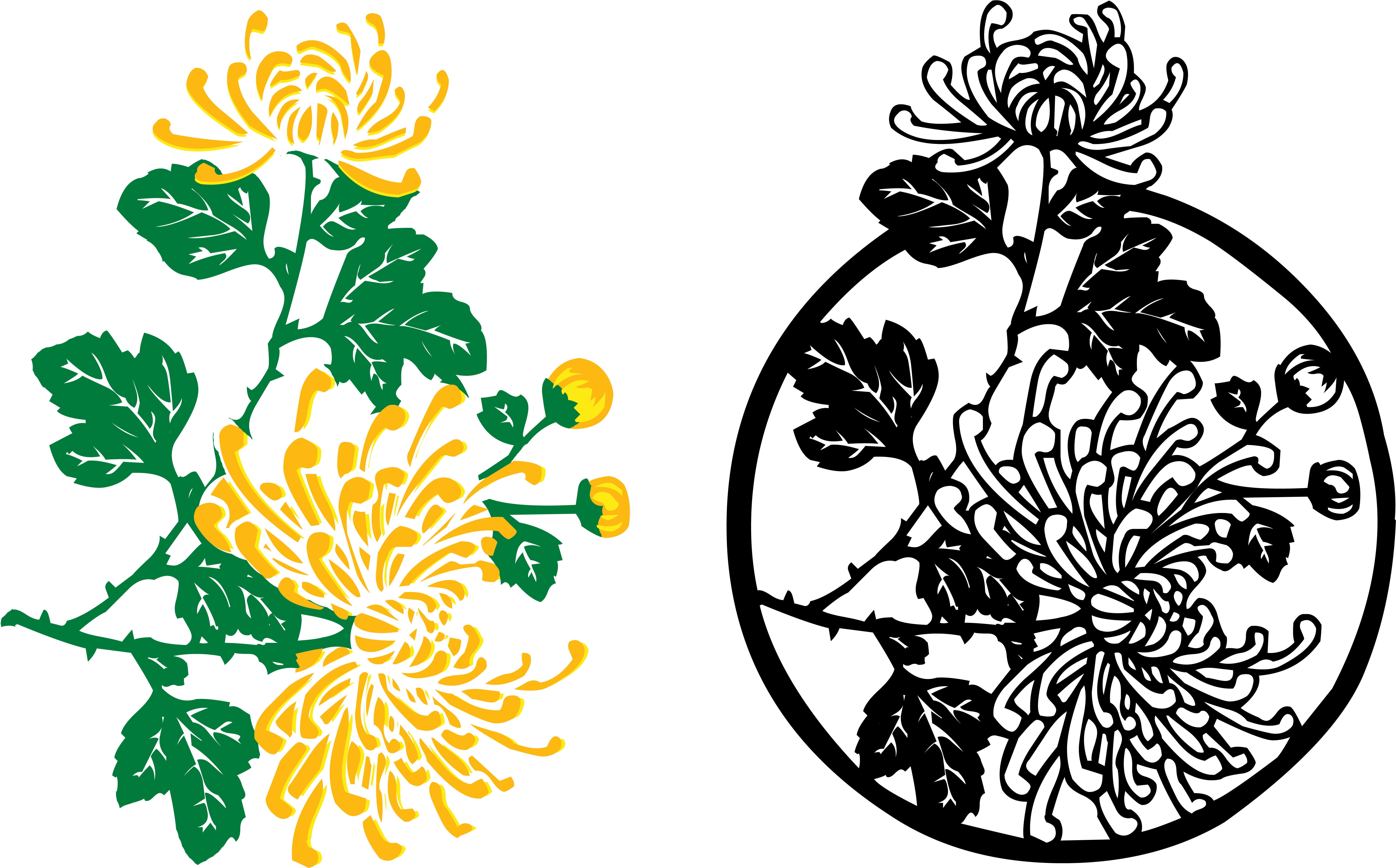 Chrysanthemum Indicum Watercolor Painting Illustration - Marriage Migration In Asia (6890x4134)